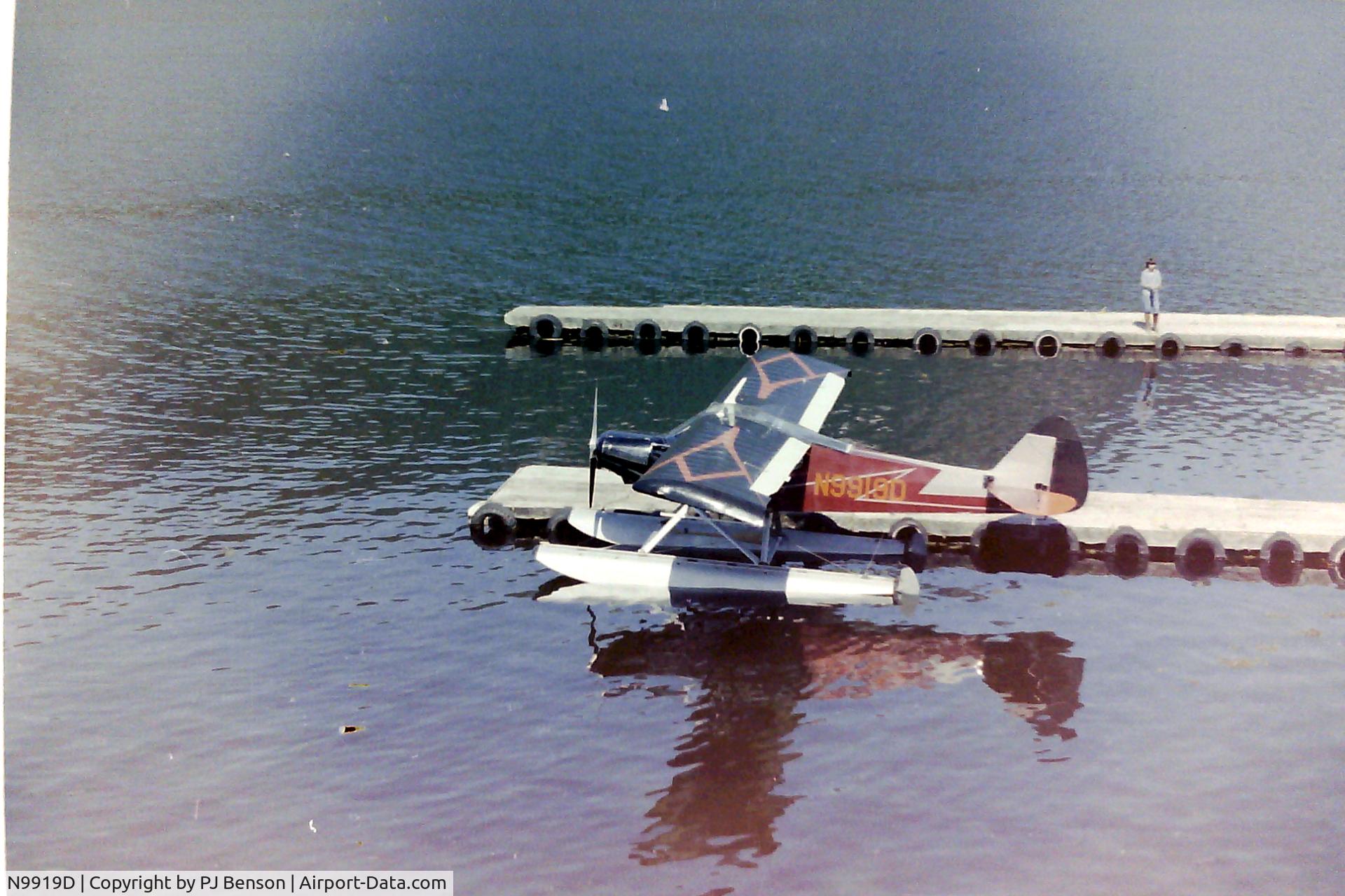 N9919D, 1959 Piper PA-18A 150 Super Cub C/N 18-6961, Petersburg Alaska