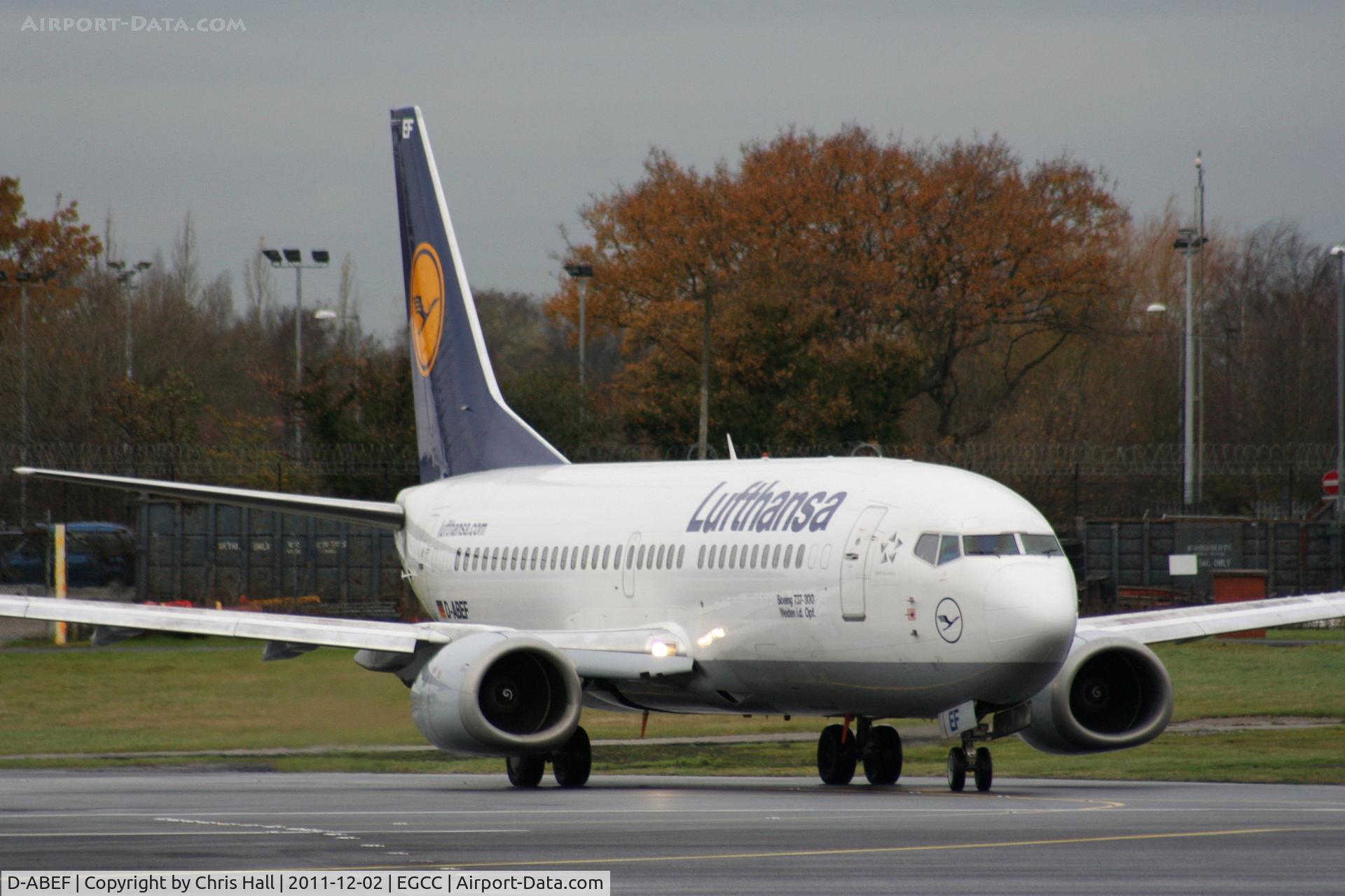 D-ABEF, 1991 Boeing 737-330 C/N 25217, Lufthansa