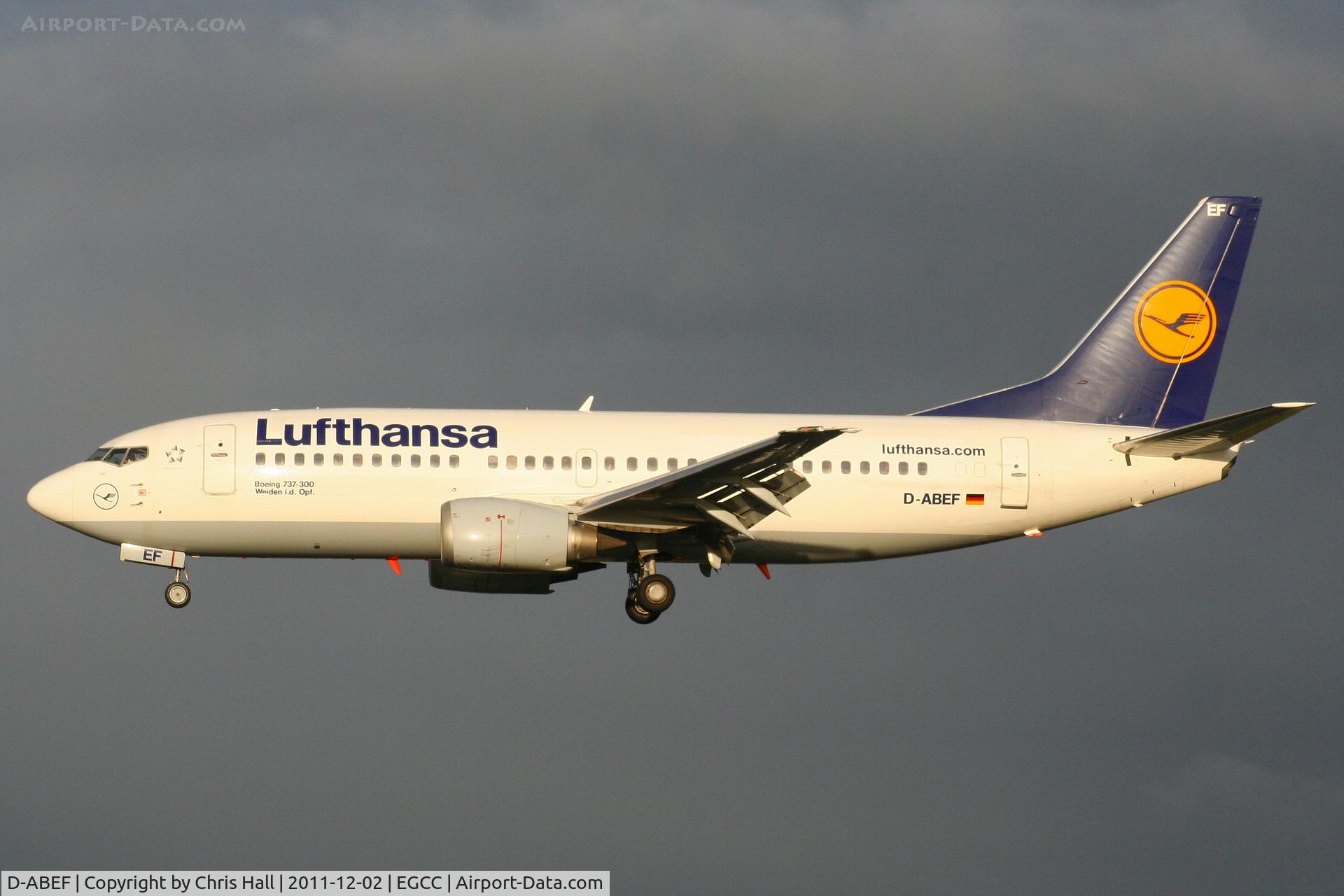 D-ABEF, 1991 Boeing 737-330 C/N 25217, Lufthansa
