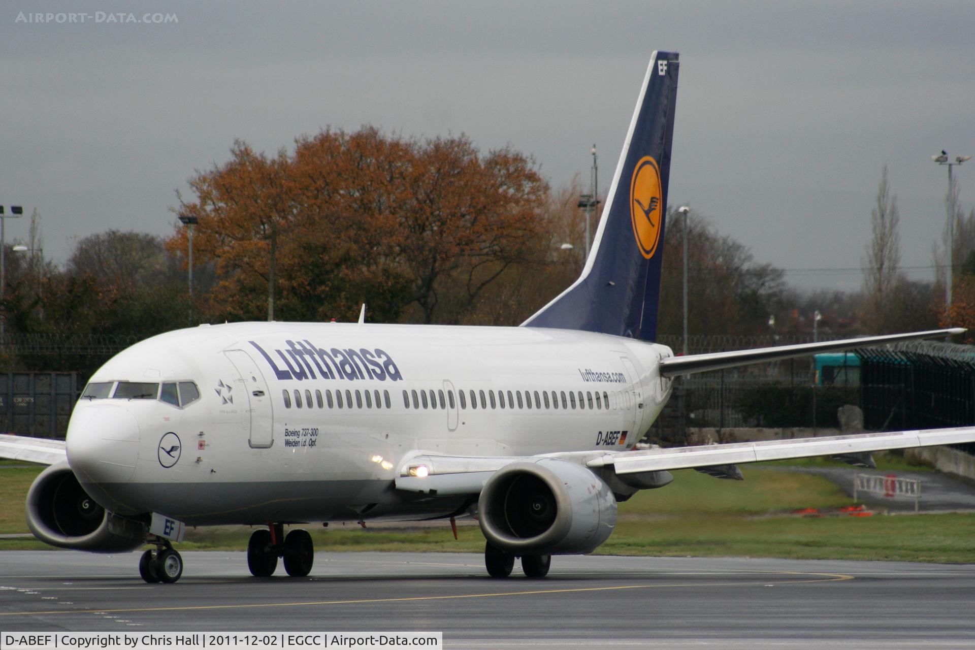 D-ABEF, 1991 Boeing 737-330 C/N 25217, Lufthansa