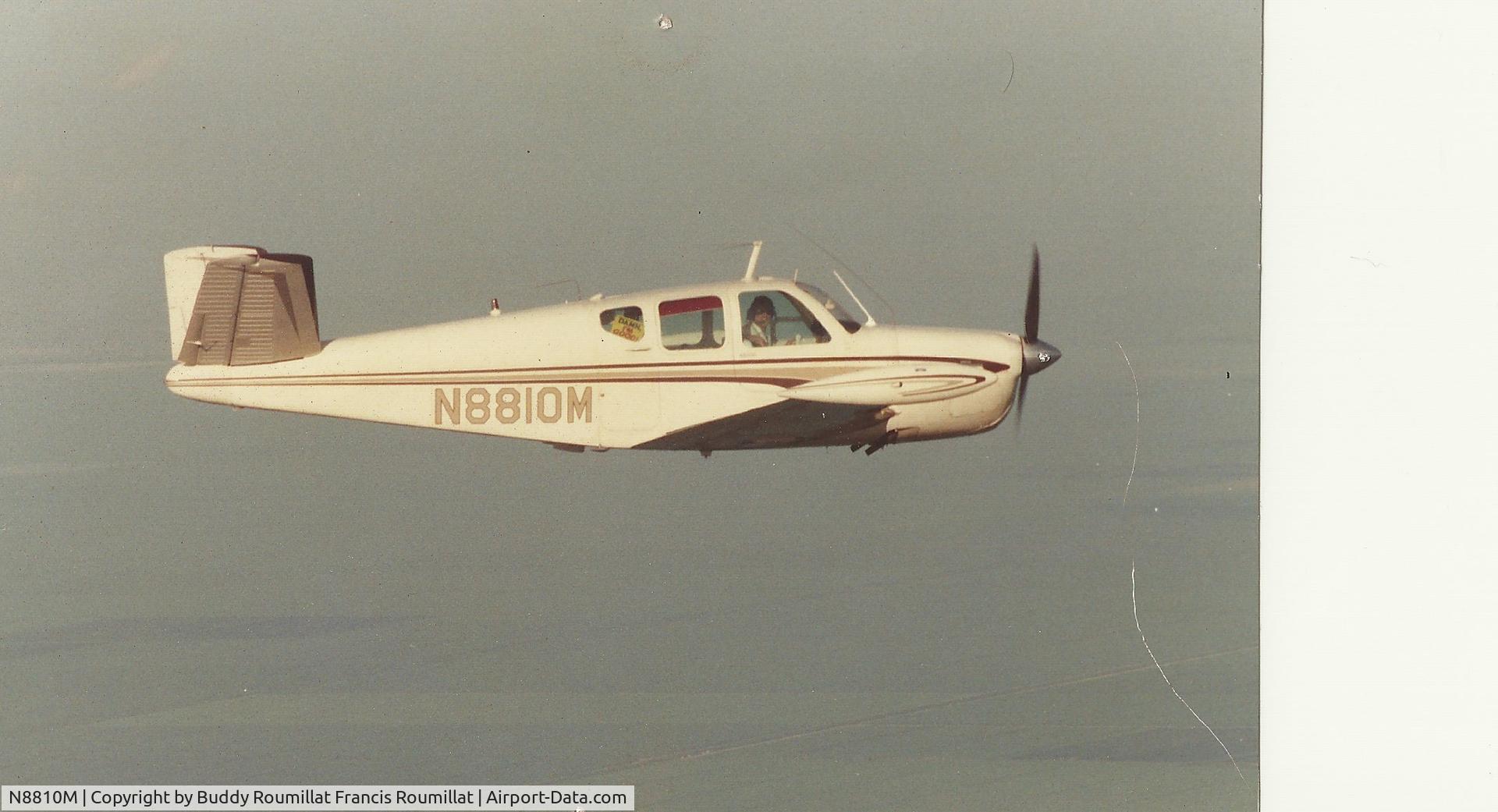 N8810M, 1951 Beech C35 Bonanza C/N D-2700, The sign in the 3rd rear window reads DAMN IM GOOD!.
