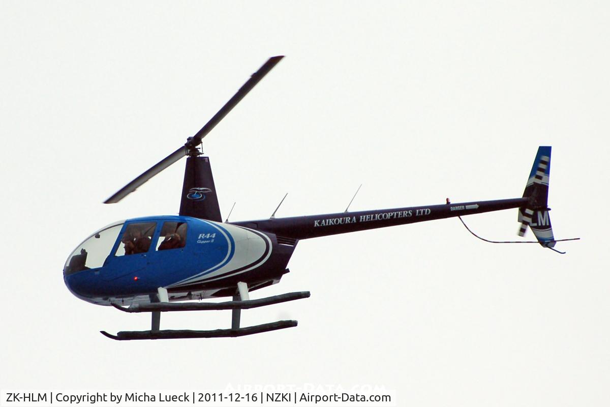 ZK-HLM, Robinson R44 Raven C/N 12466, Dolphin watch flight in Kaikoura