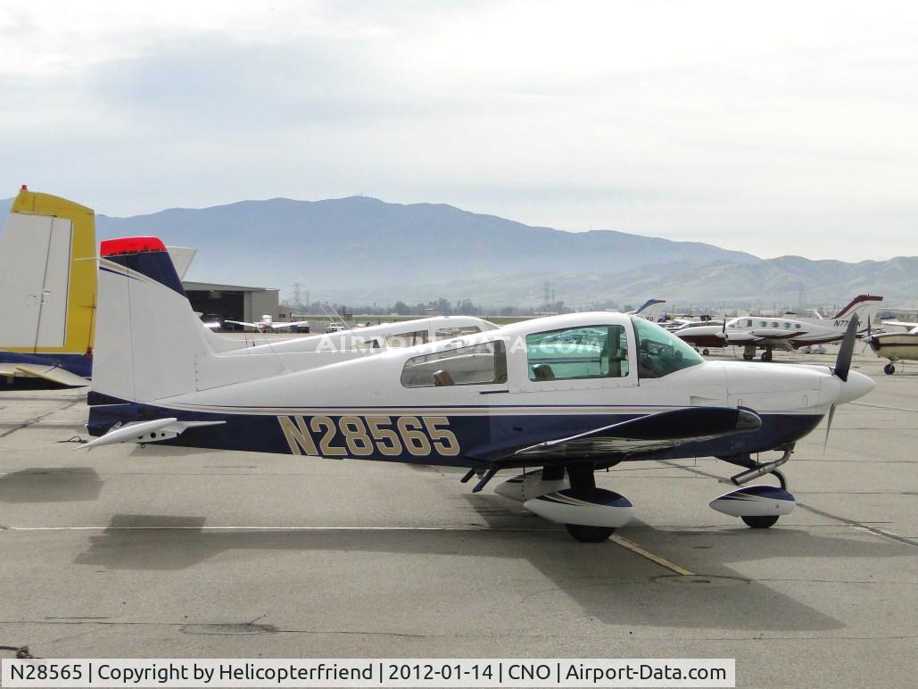 N28565, 1977 Grumman American AA-5B Tiger C/N AA5B0684, Parked