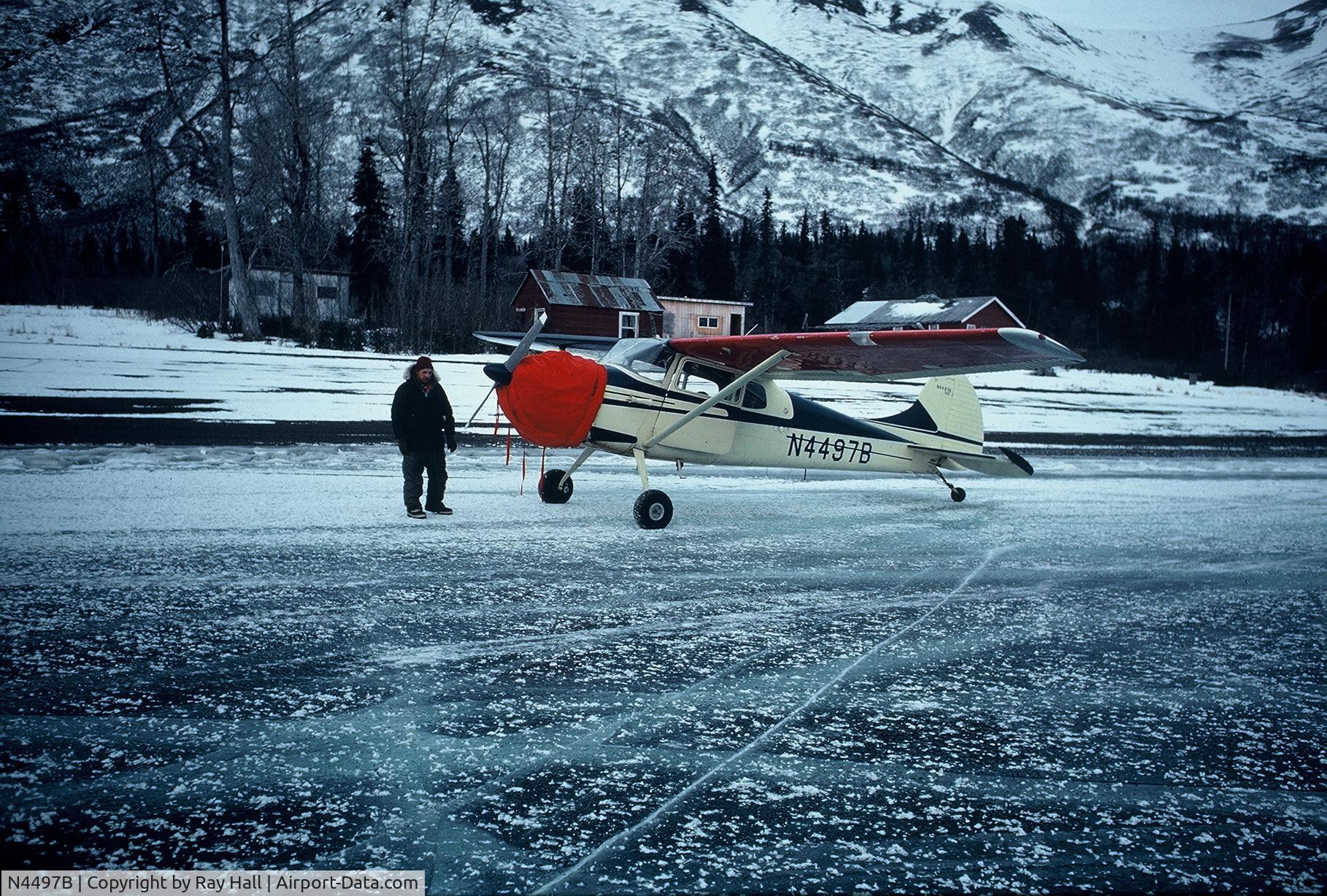 N4497B, 1955 Cessna 170B C/N 26841, 4497B on Lake Aleknegik, Alaska