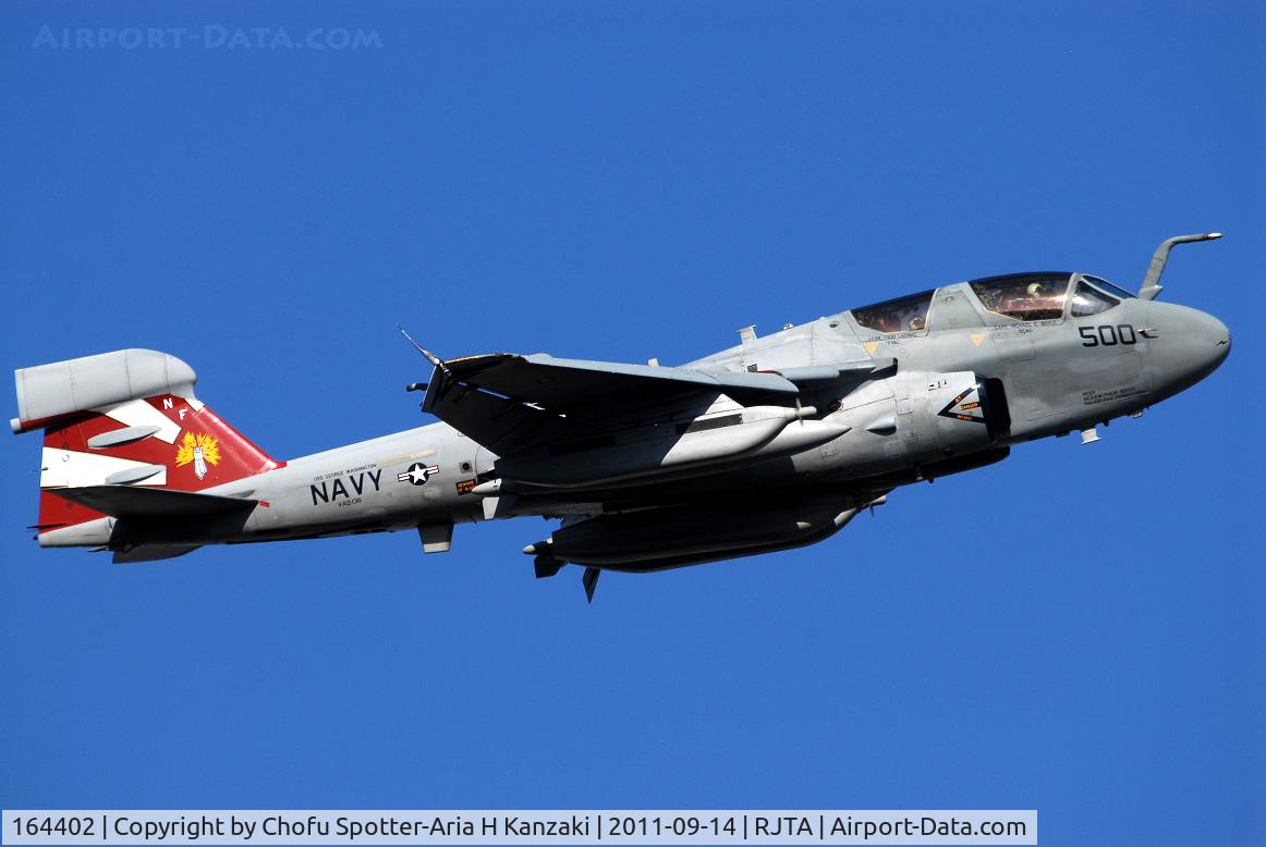 164402, Grumman EA-6B Prowler C/N P-169, NikonD200+TAMRON AF 200-500mm F/5-6.3 LD IF