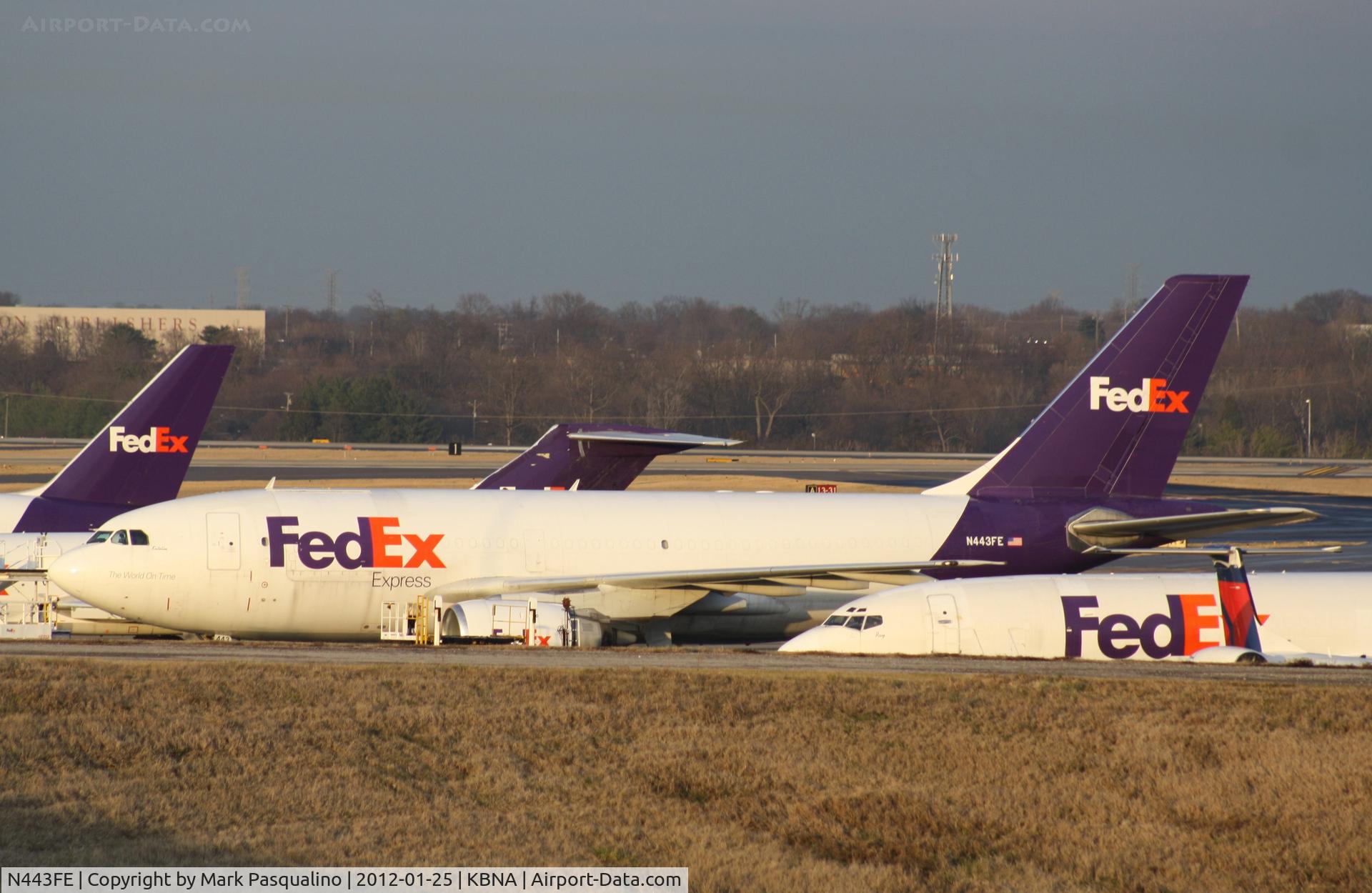 N443FE, 1984 Airbus A310-203 C/N 283, Airbus A310-200