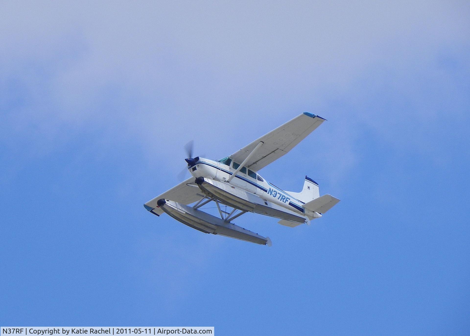 N37RF, 1977 Cessna A185F Skywagon 185 C/N 18503447, Belle Chasse, LA