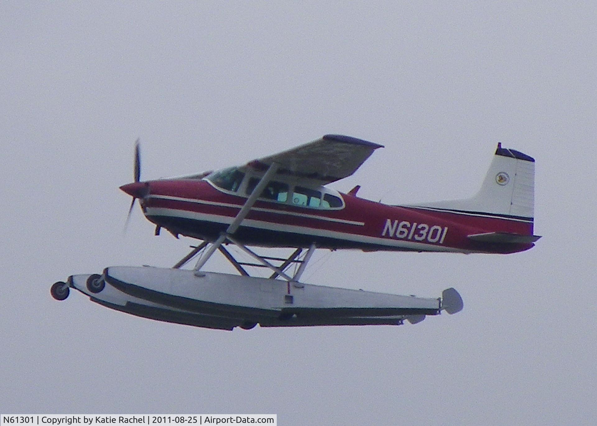 N61301, 1980 Cessna A185F Skywagon 185 C/N 18504144, Belle Chasse, LA