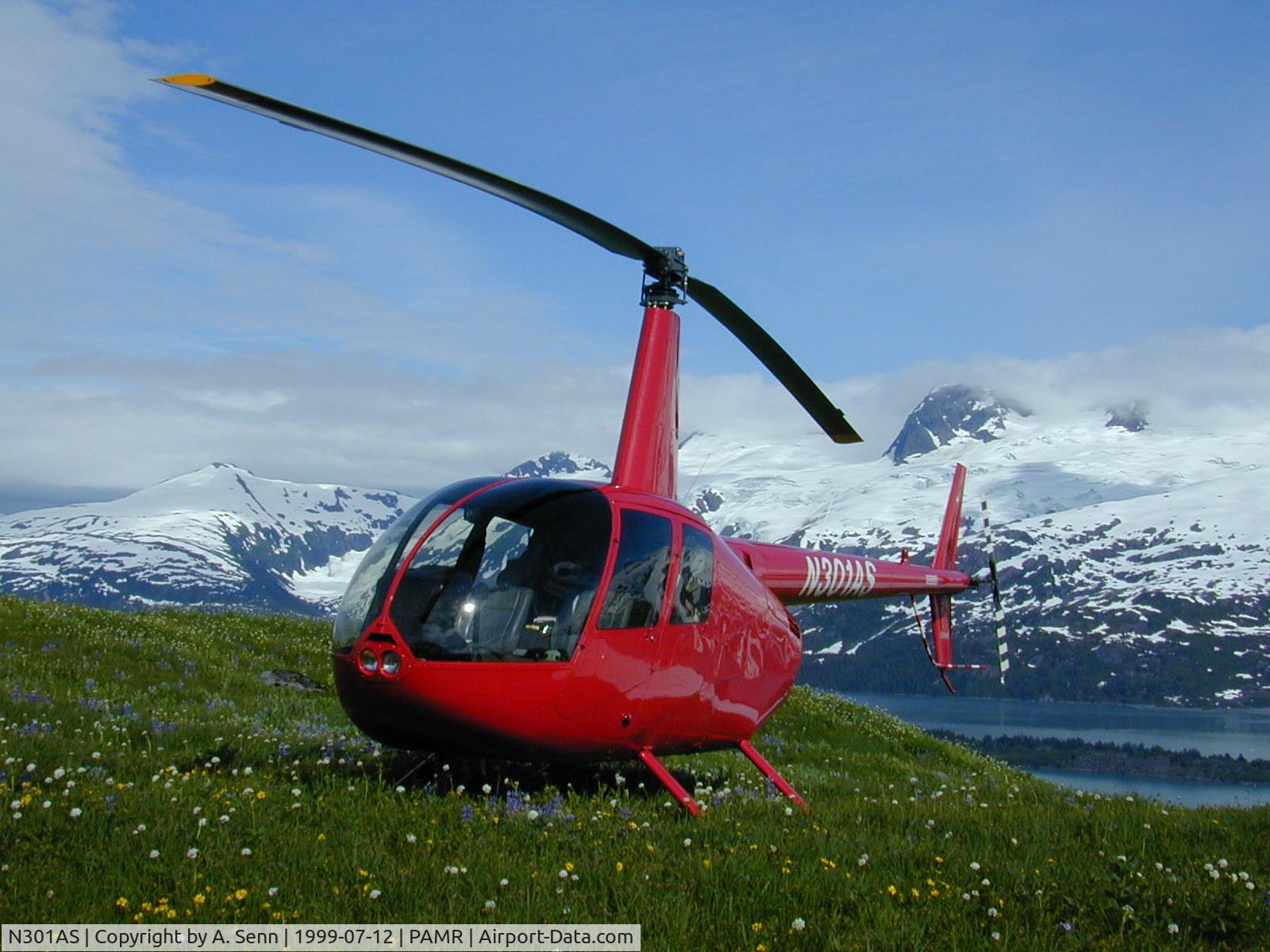 N301AS, 1997 Robinson R44 C/N 0324, Prince William Sound, Alaska