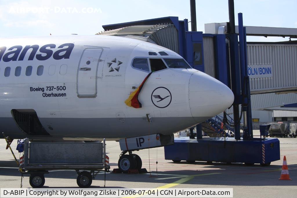 D-ABIP, 1991 Boeing 737-530 C/N 24940, FIFA 2006 before the Italy Game
