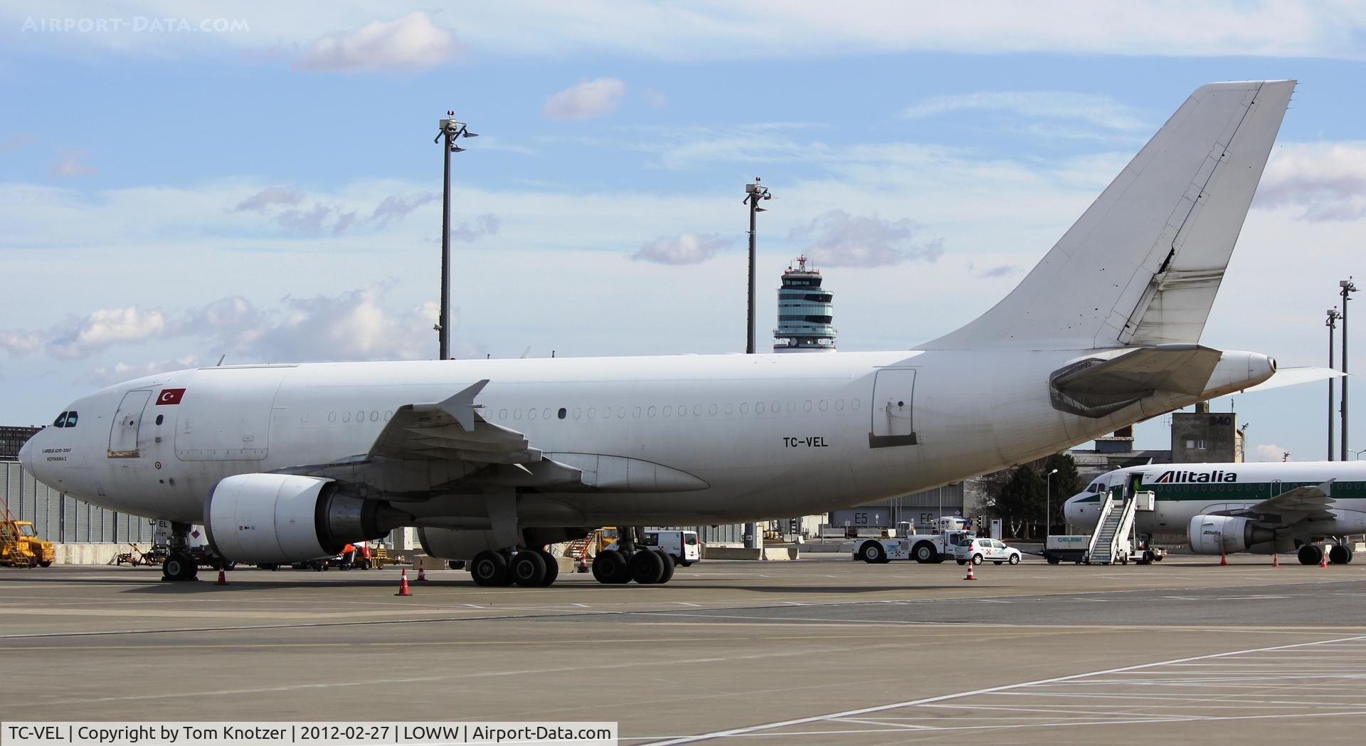 TC-VEL, 1991 Airbus A310-308(F) C/N 622, LOWW-VIE-Block A