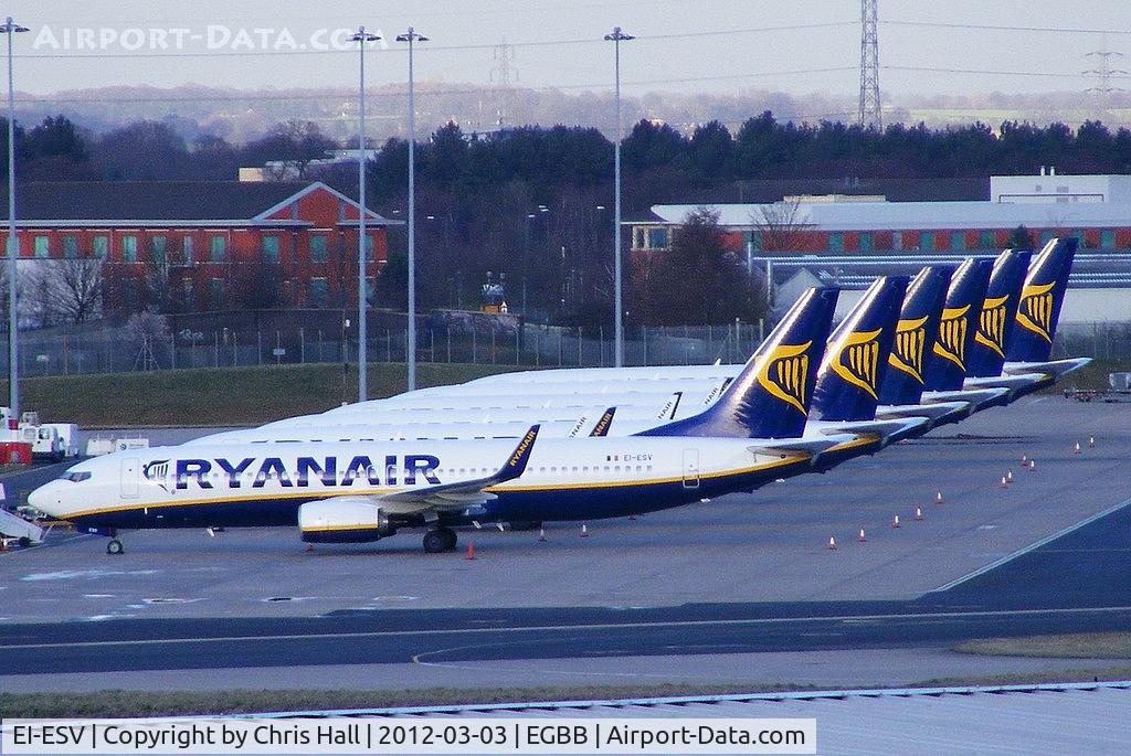 EI-ESV, 2011 Boeing 737-8AS C/N 34993, EI-ESV heads the line up of stored Ryanair B737's at Birmingham