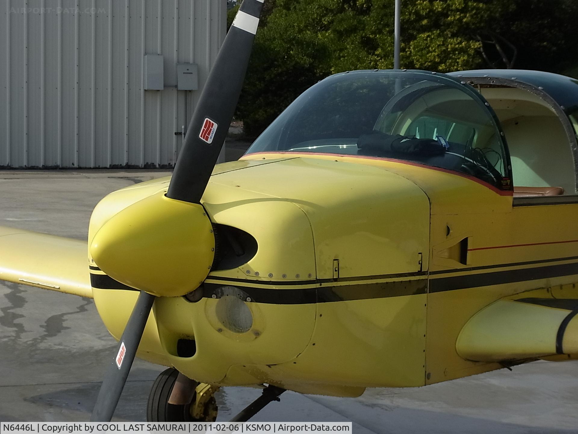 N6446L, 1972 American Aviation AA-1A Trainer C/N AA1A-0446, Santa Monica Airport, wash rack.