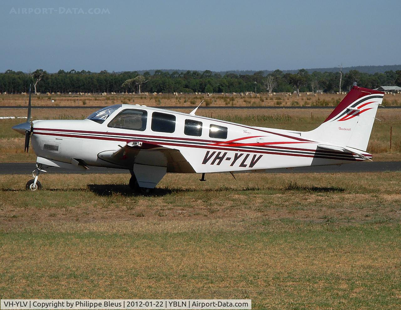 VH-YLV, 2001 Raytheon Aircraft Company A36 Bonanza C/N E-3375, Parked on the grass.