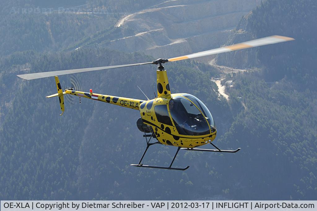 OE-XLA, Robinson R22 Beta C/N 2966, Robinson R22