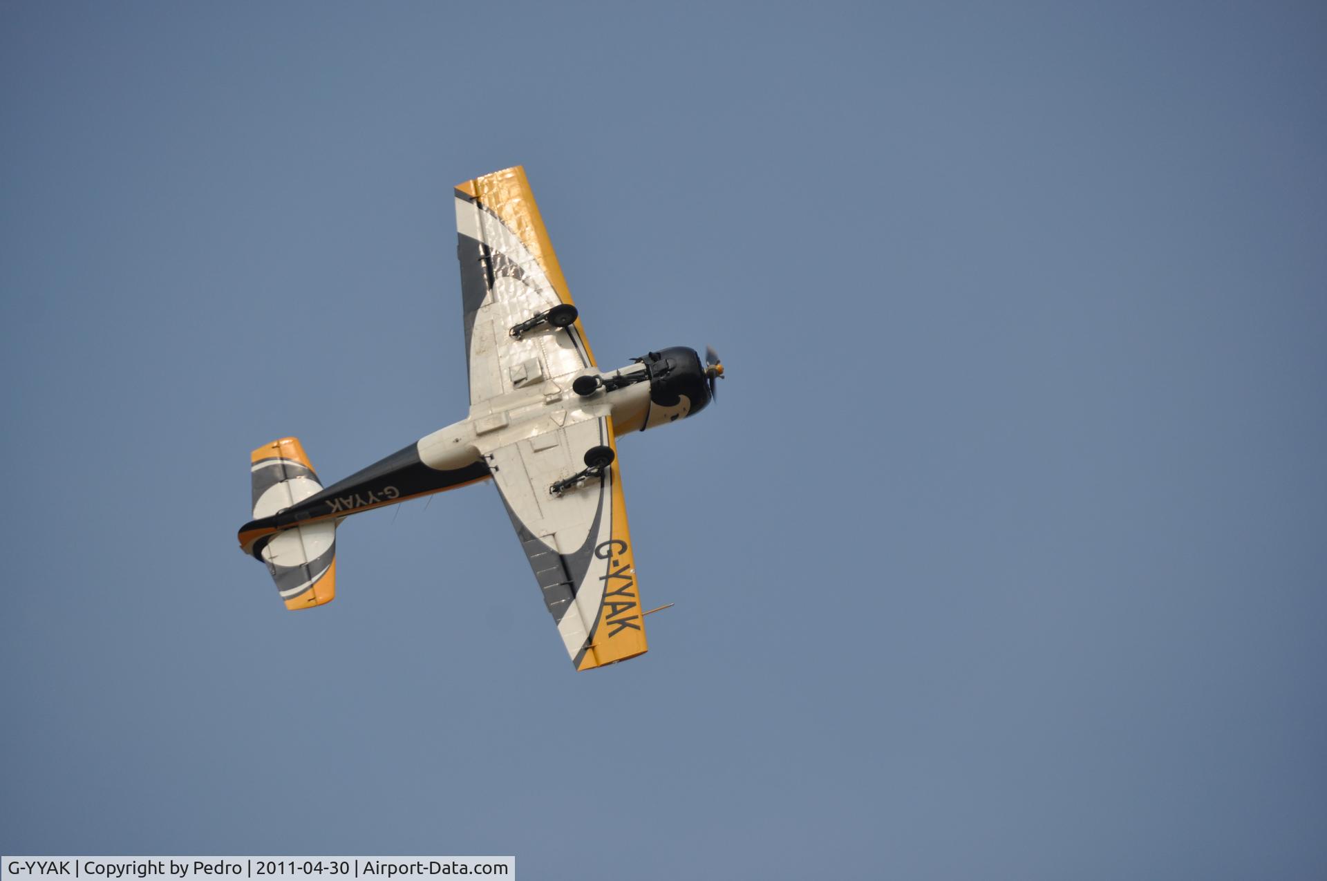 G-YYAK, 1987 Bacau Yak-52 C/N 878101, Dance in the sky
