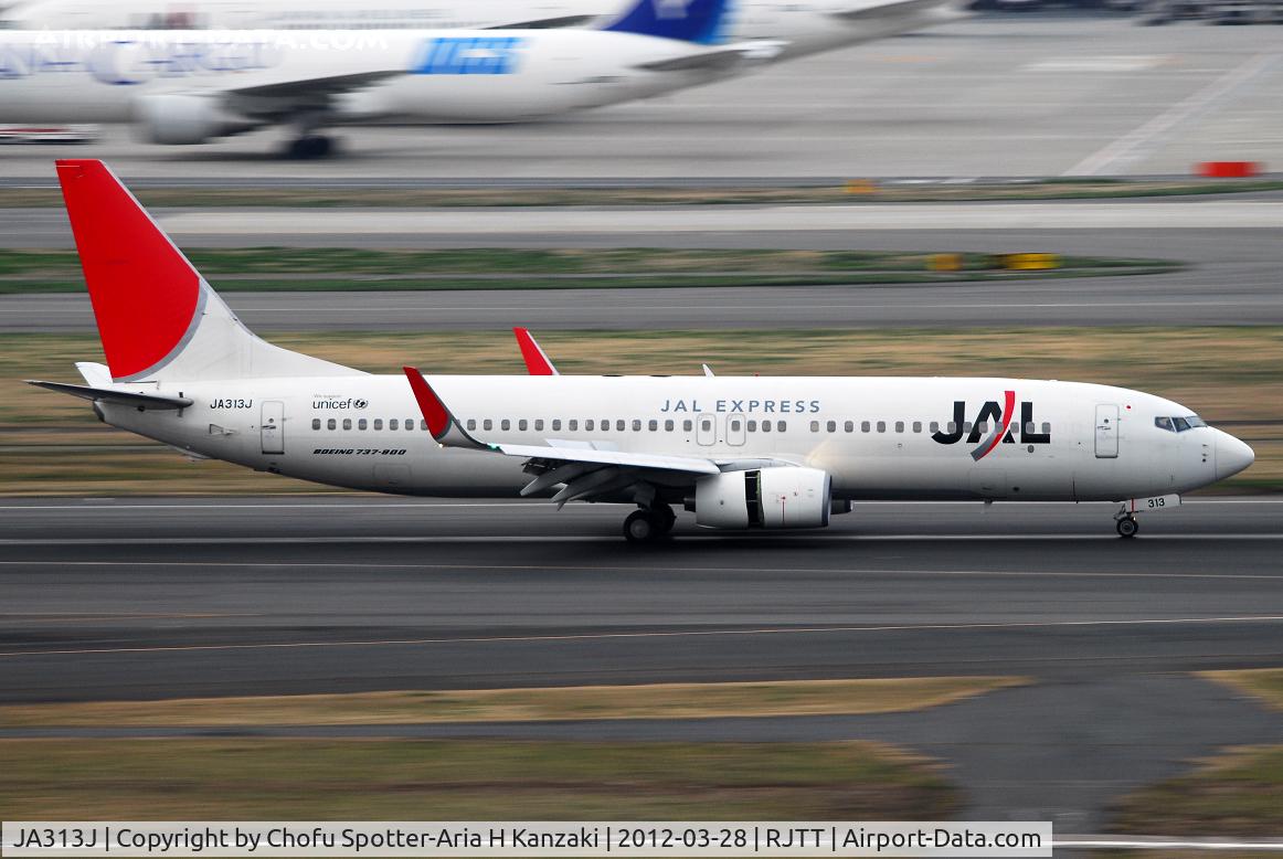 JA313J, 2008 Boeing 737-846 C/N 35342, NikonD200+TAMRON AF 200-500mm F/5-6.3 LD IF