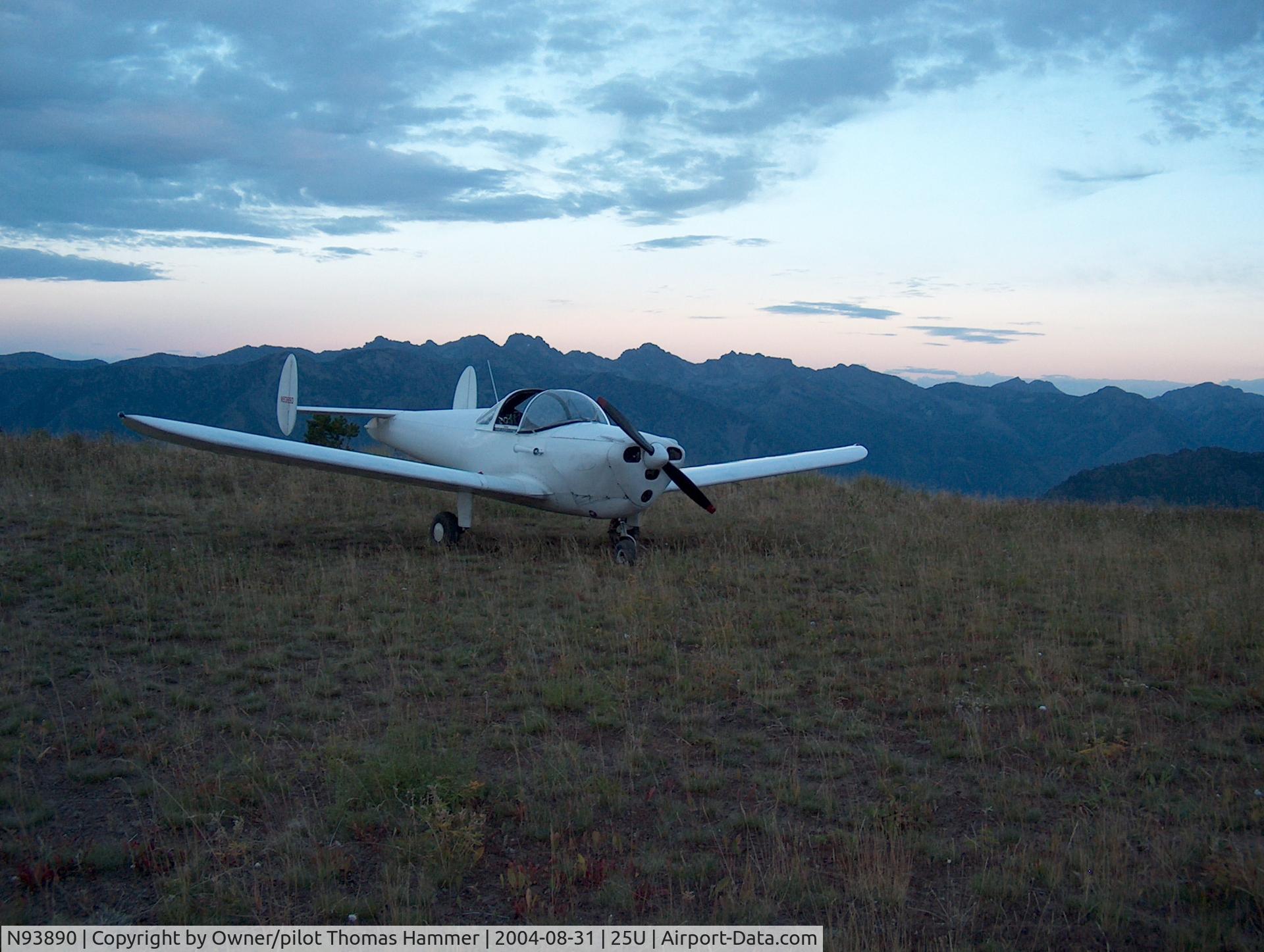 N93890, 1946 Erco 415C Ercoupe C/N 1213, At Memaloose (6700') near Joseph, OR, September, 2001
Seven Devils of Idaho in background