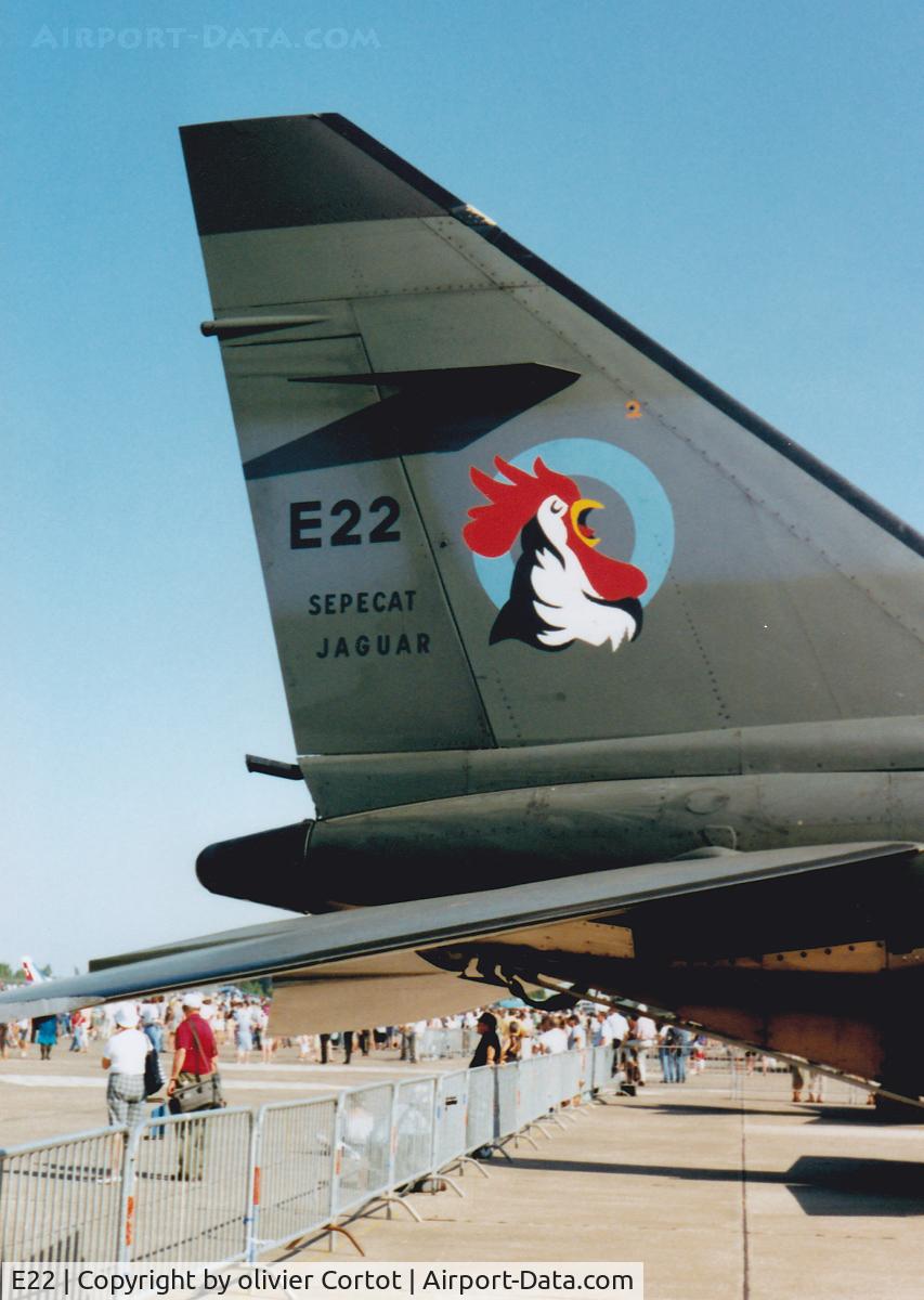 E22, Sepecat Jaguar E C/N E22, close-up view of the beautiful insigna of the Jaguar 