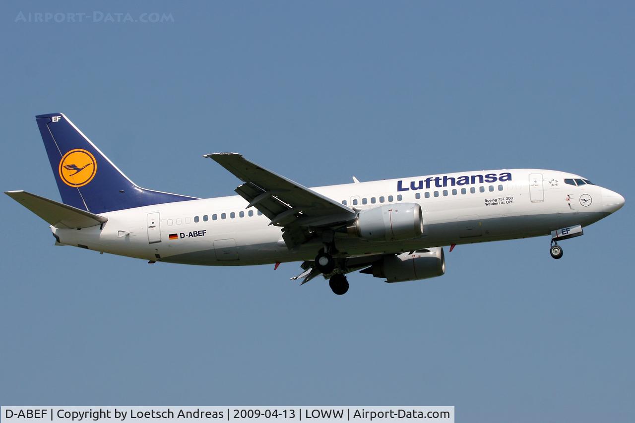 D-ABEF, 1991 Boeing 737-330 C/N 25217, named 