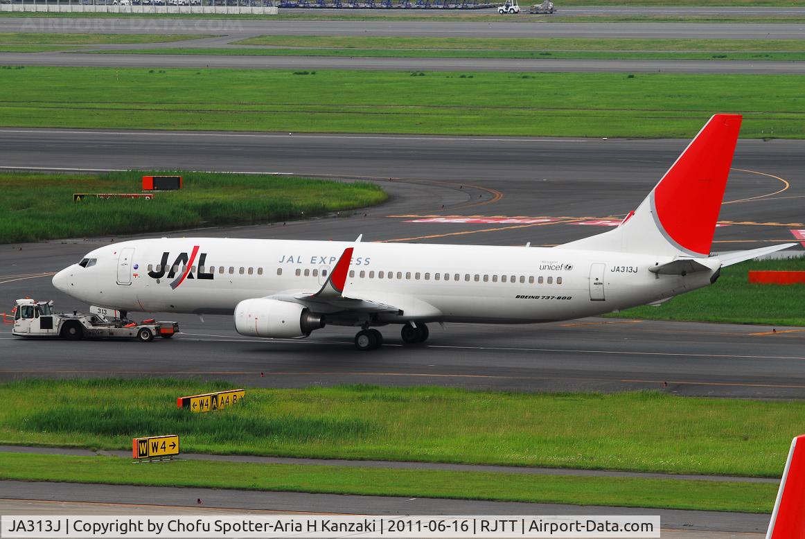JA313J, 2008 Boeing 737-846 C/N 35342, NikonD200+TAMRON AF 200-500mm F/5-6.3 LD IF
