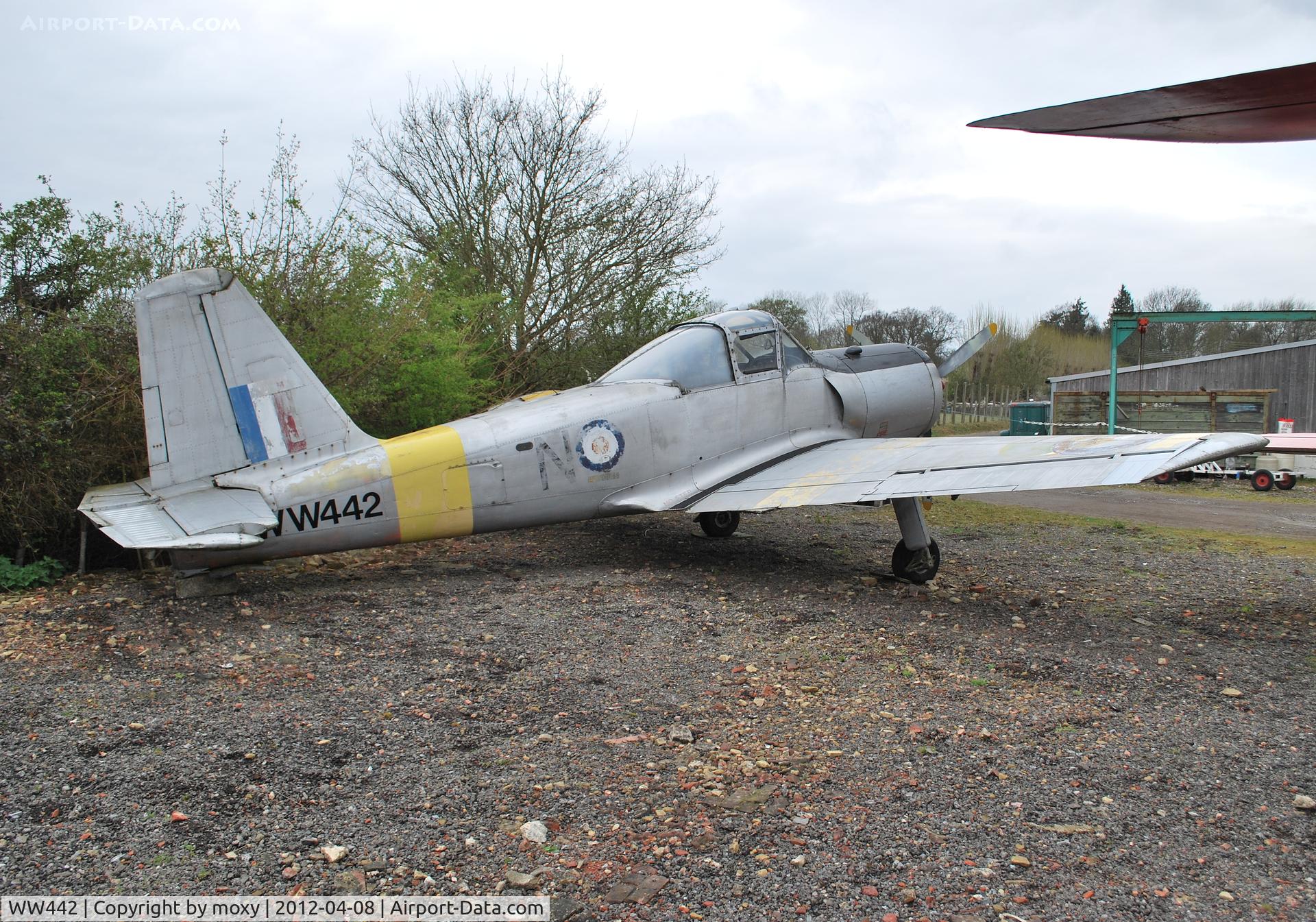 WW442, 1954 Percival P-56 Provost T.1 C/N PAC/56/257, Percival Provost T.1  at the Gatwick Aviation Museum.