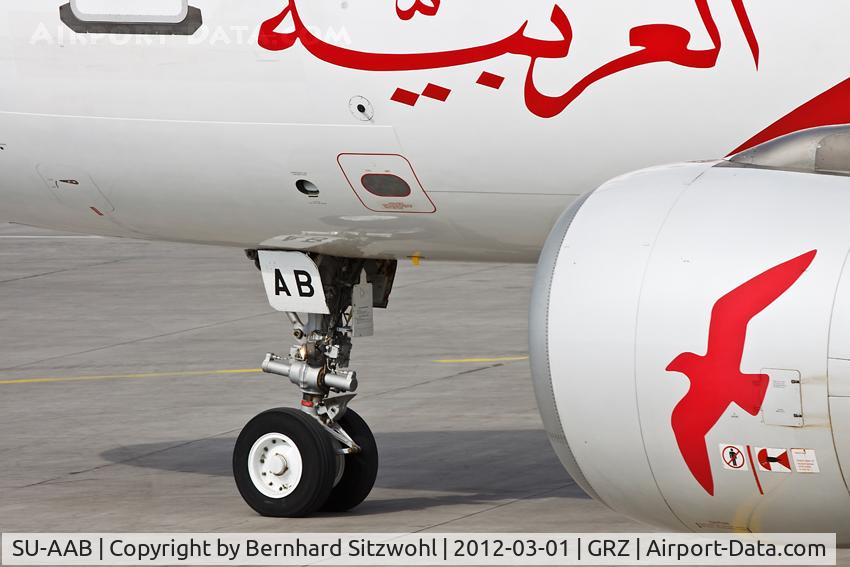 SU-AAB, 2007 Airbus A320-214 C/N 3152, airarabia.com