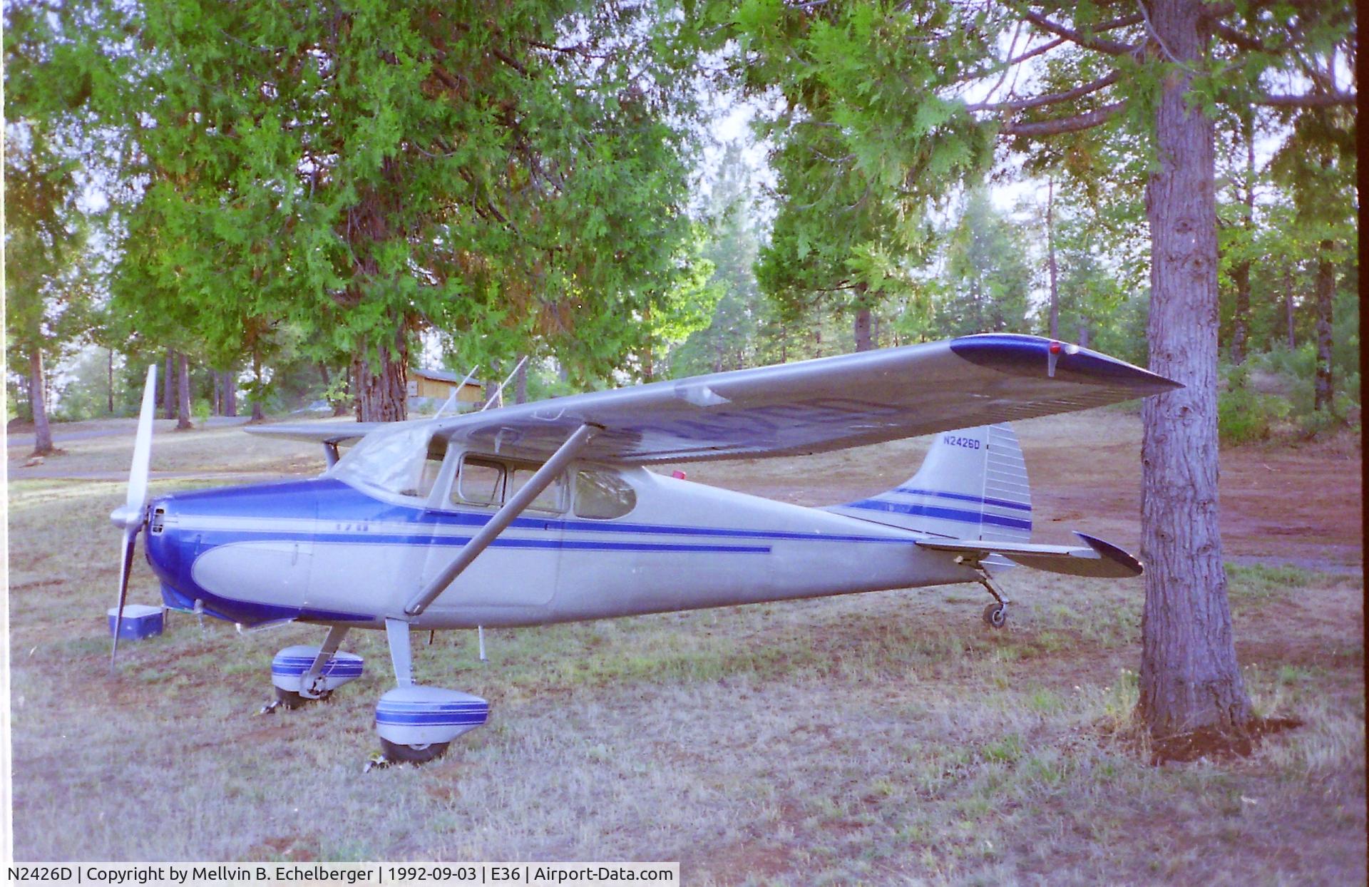 N2426D, 1952 Cessna 170B C/N 20578, Camping Georgetown CA. a couple days before the annual 