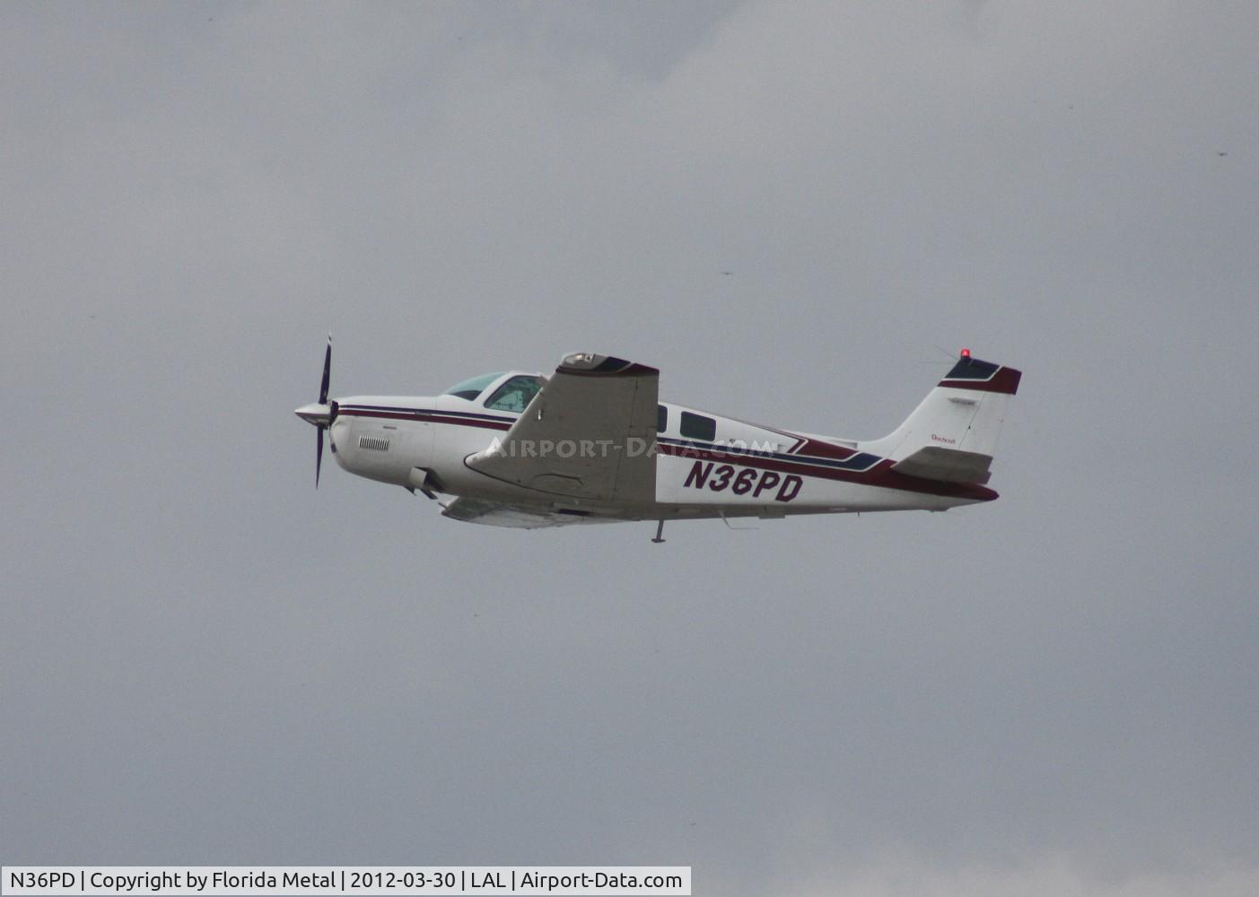 N36PD, 1995 Beech A36 Bonanza 36 C/N E-2921, Beech A36