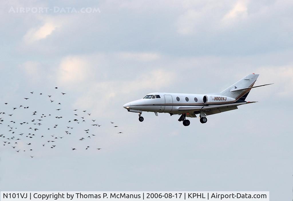 N101VJ, 1981 Dassault Falcon 10 C/N 177, A recipe for disaster!  A Falcon 10 encountering  a flock of birds while on short final for Rwy 26 at PHL.