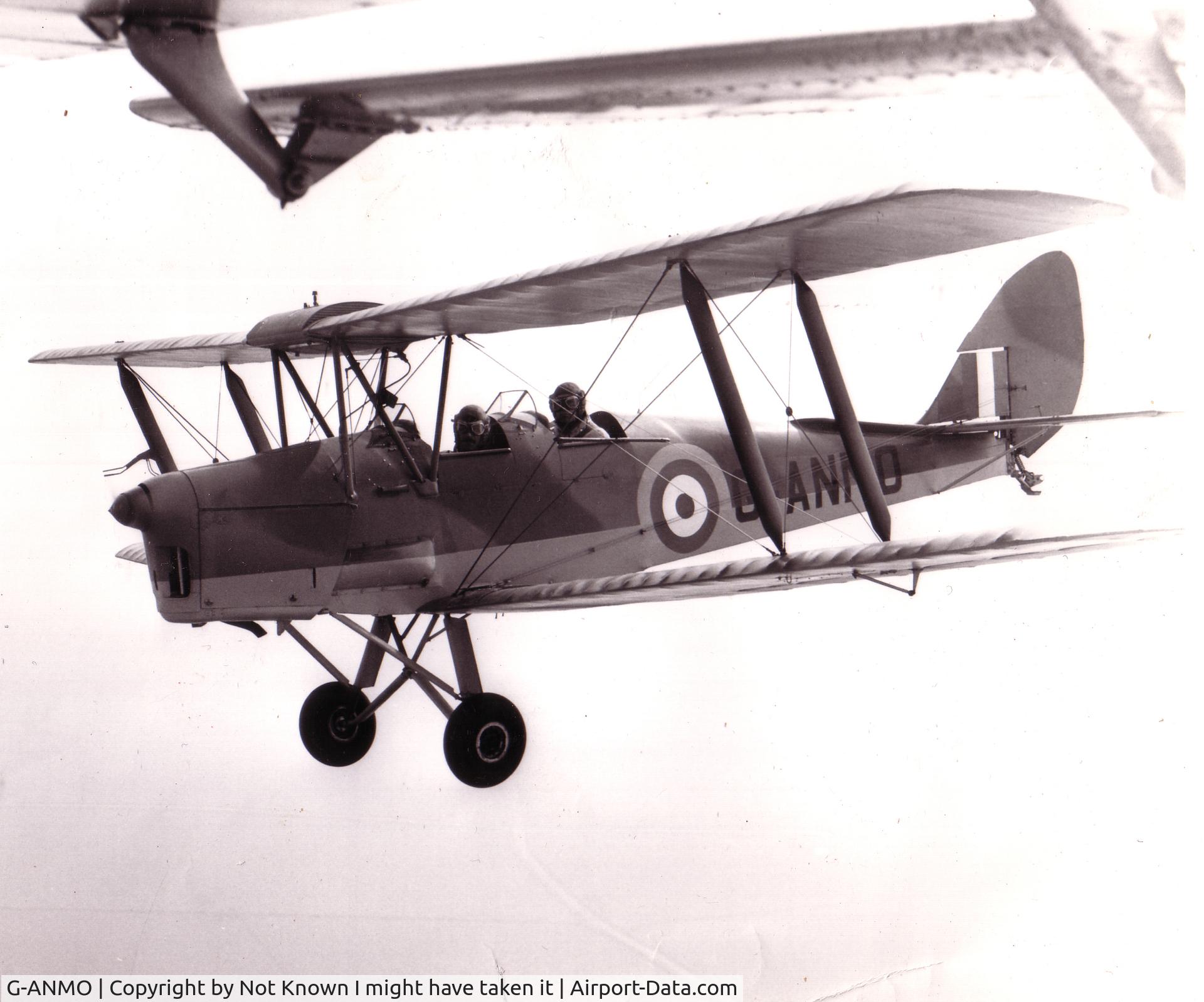 G-ANMO, 1935 De Havilland DH-82A Tiger Moth II C/N 3255, In Formation With a beagle Terrier, jolly good days