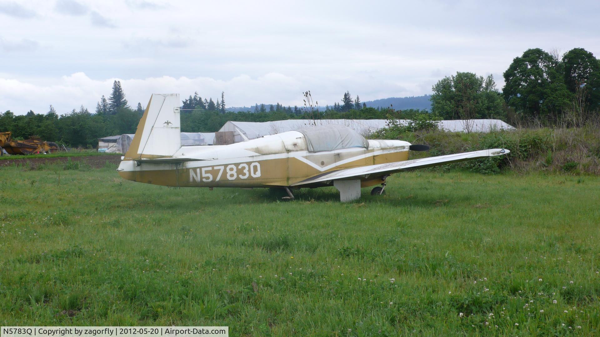 N5783Q, 1965 Mooney M20E C/N 750, disgracefully abandoned