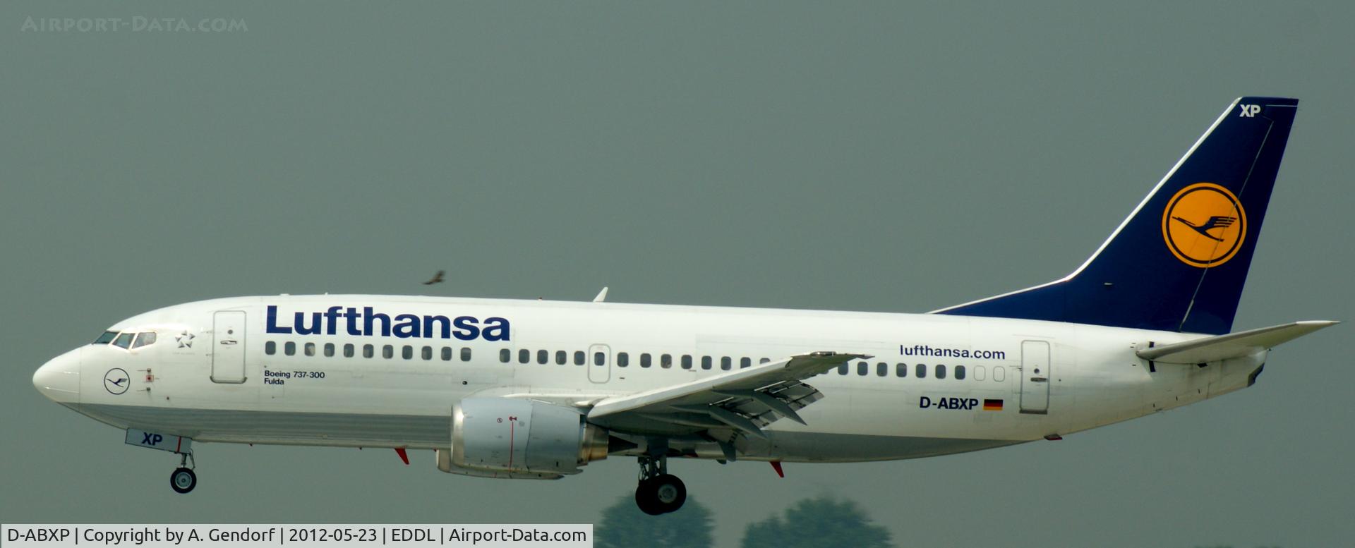 D-ABXP, 1988 Boeing 737-330 C/N 23874, Lufthansa, seen here landing on Rwy23L at Düsseldorf Int´l (EDDL)