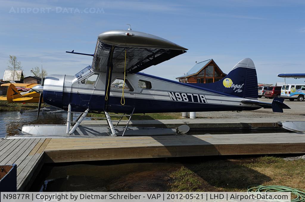 N9877R, 1957 De Havilland Canada DHC-2-L-20 C/N 1180, Regal AIr Dash 2