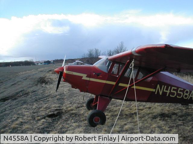 N4558A, 1956 Piper PA-22-150 C/N 22-3869, Seen at Naknek airport many years ago.