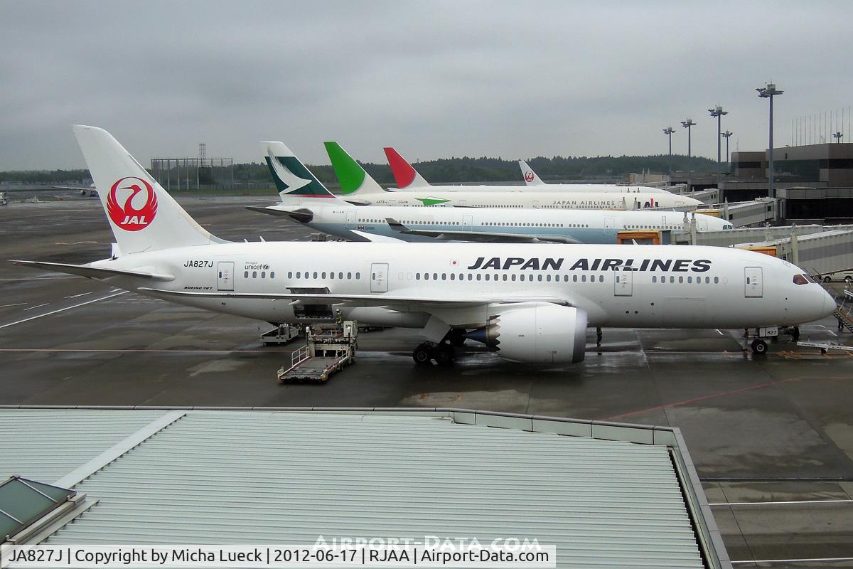 JA827J, 2011 Boeing 787-8 Dreamliner C/N 34837, At Narita