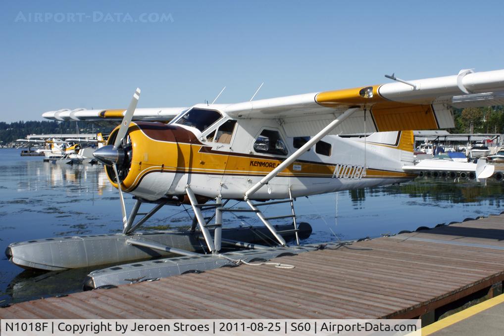 N1018F, 1954 De Havilland Canada U-6A Beaver C/N 710, wonderful harbour