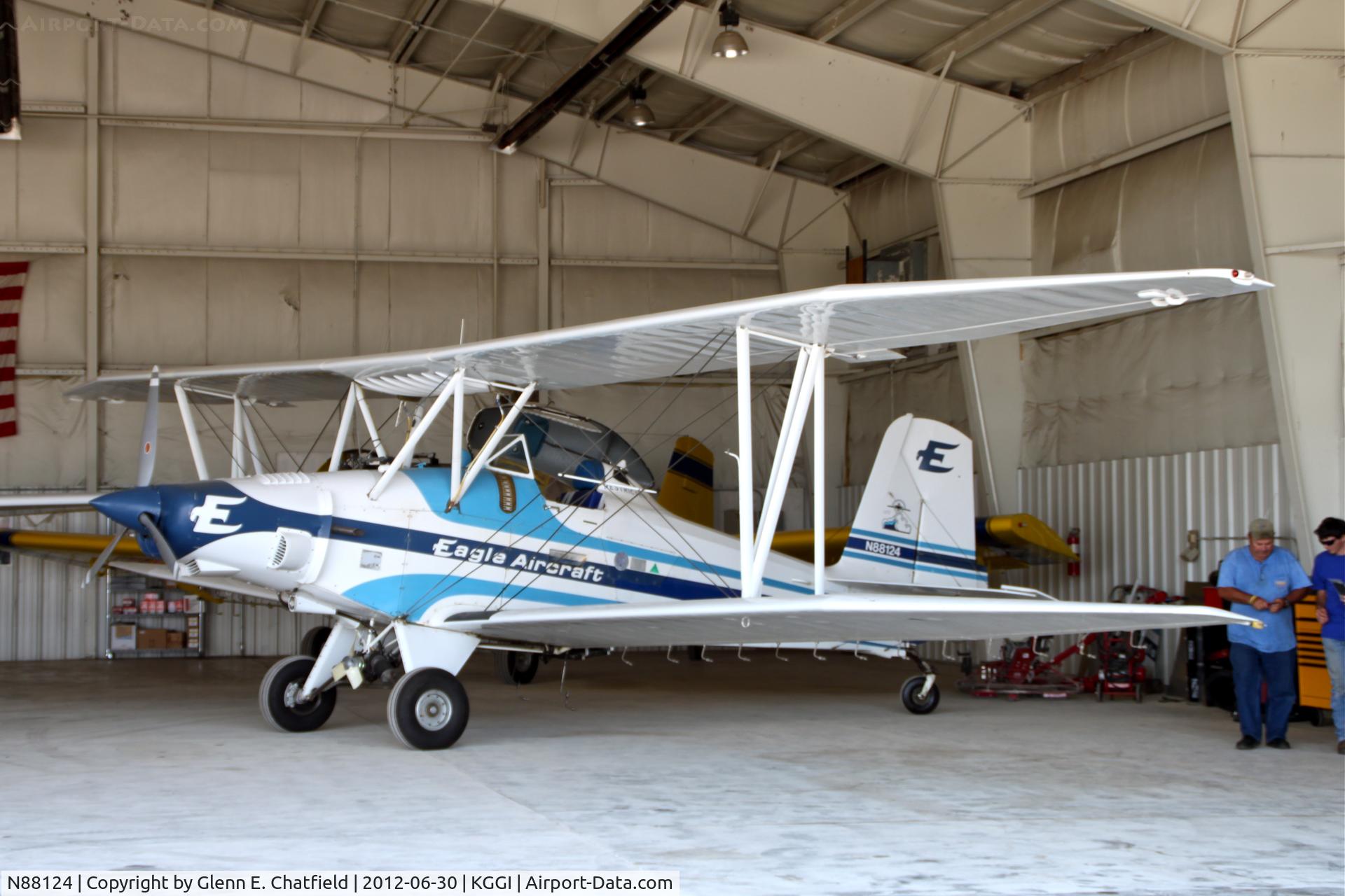 N88124, 1982 Eagle Aircraft Co EAGLE DW-1 C/N DW-1-0078-82, In the hangar