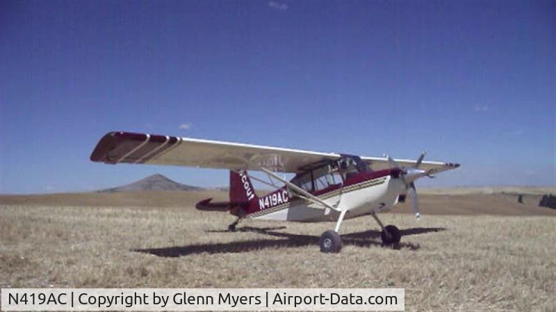 N419AC, 2000 American Champion 8GCBC Scout C/N 408-99, N419AC