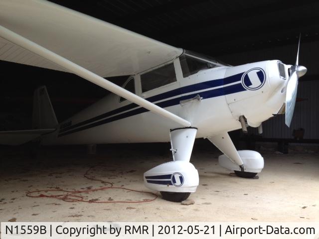 N1559B, 1948 Luscombe 8F Silvaire C/N 6186, 1948 Luscombe 8F