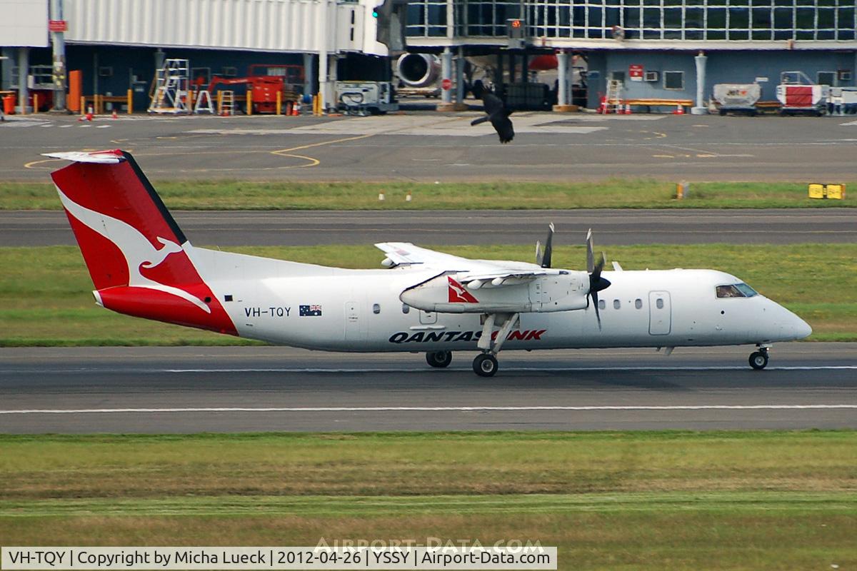 VH-TQY, 2000 De Havilland Canada DHC-8-315Q Dash 8 C/N 552, At Sydney