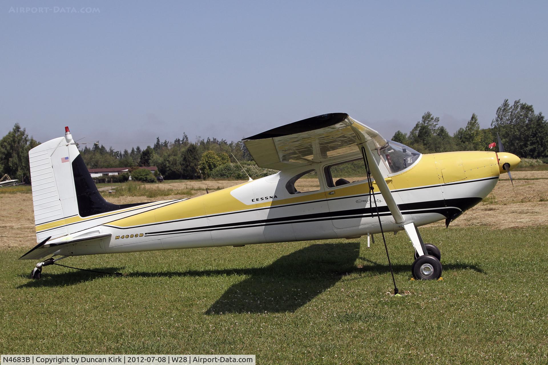 N4683B, 1955 Cessna 180 C/N 31581, Beatiful shot with the daisies!