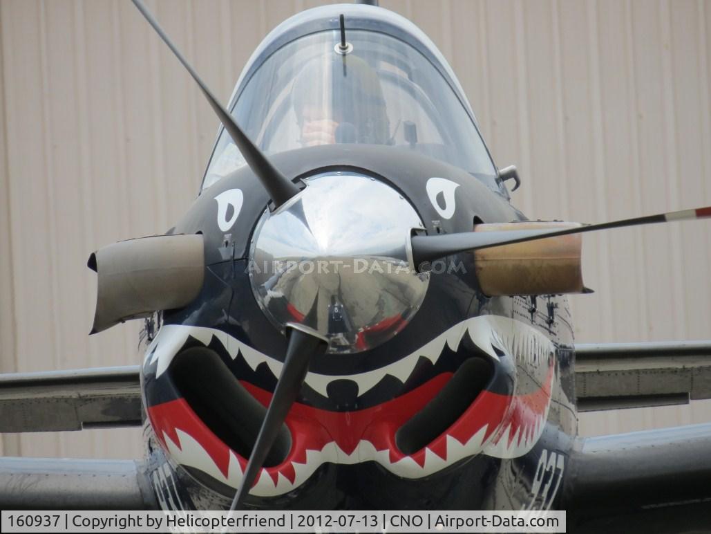 160937, Beech T-34C Turbo Mentor C/N GL-123, Up close and snarling
