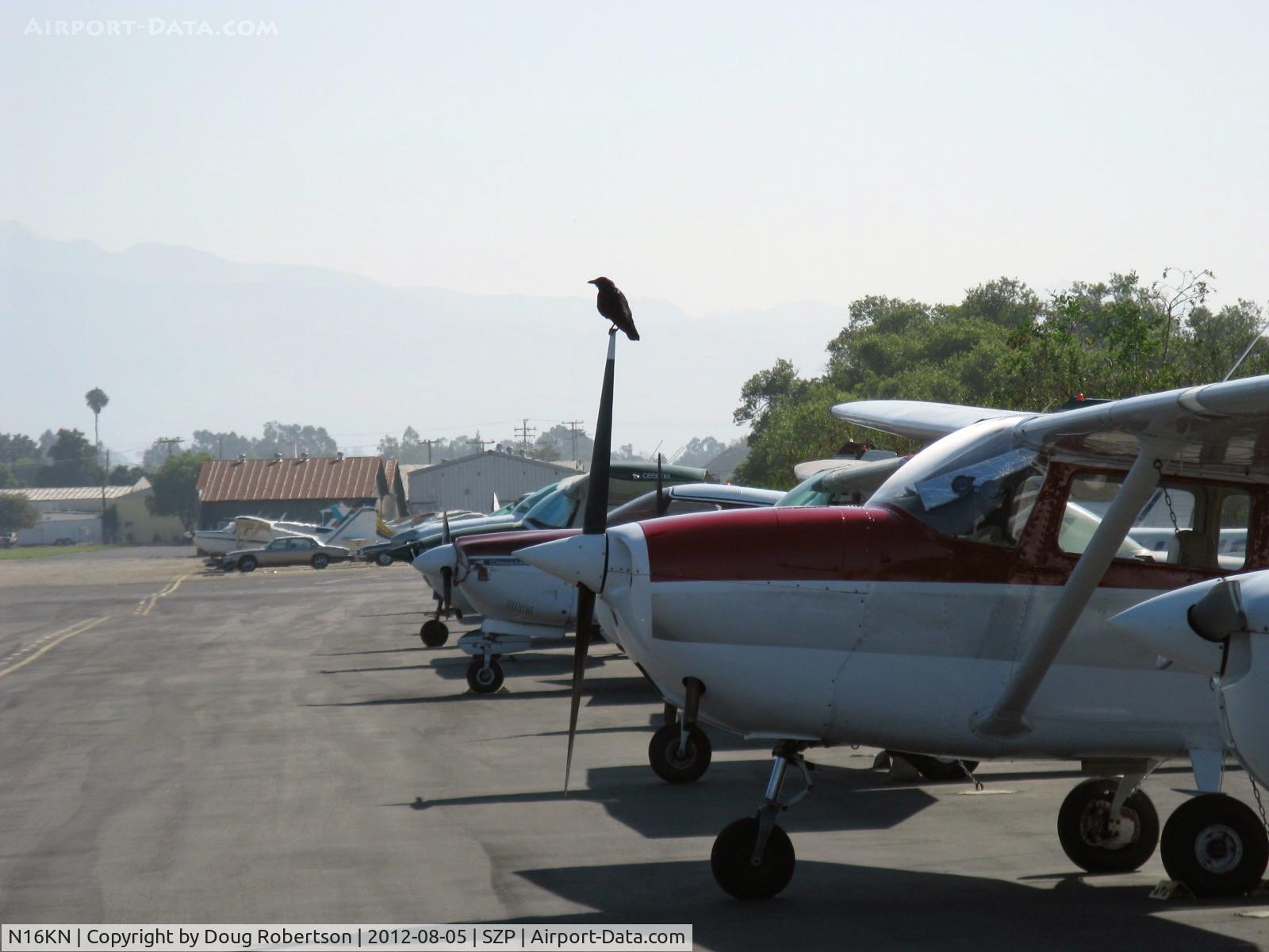N16KN, 1965 Cessna 172G C/N 17253986, 1965 Cessna 172G Skyhawk with a STOL B1RD perched on the prop-a two for one shot.