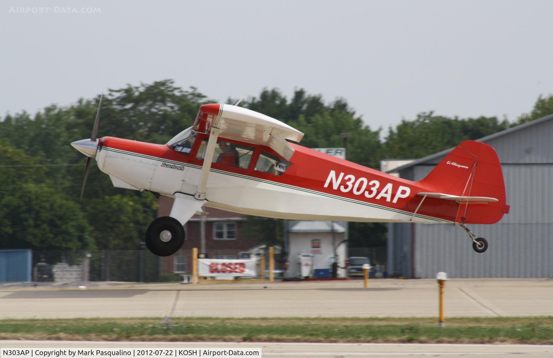 N303AP, 2003 Avipro Bearhawk C/N 02-01/02-444, Bearhawk