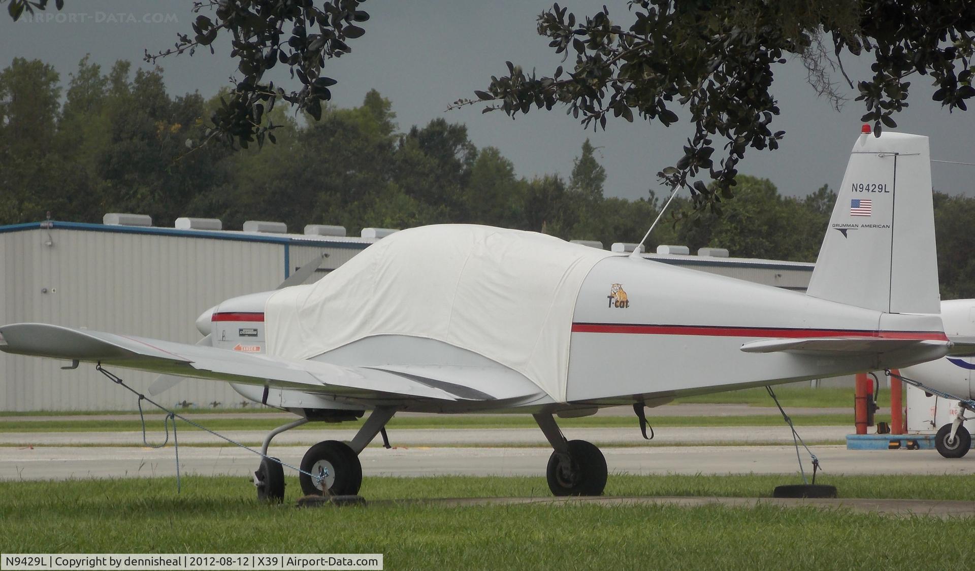 N9429L, 1971 American Aviation AA-1A Trainer C/N AA1A-0229, 1971 AMERICAN AVIATION AA-1A, C/N AA1A-0229