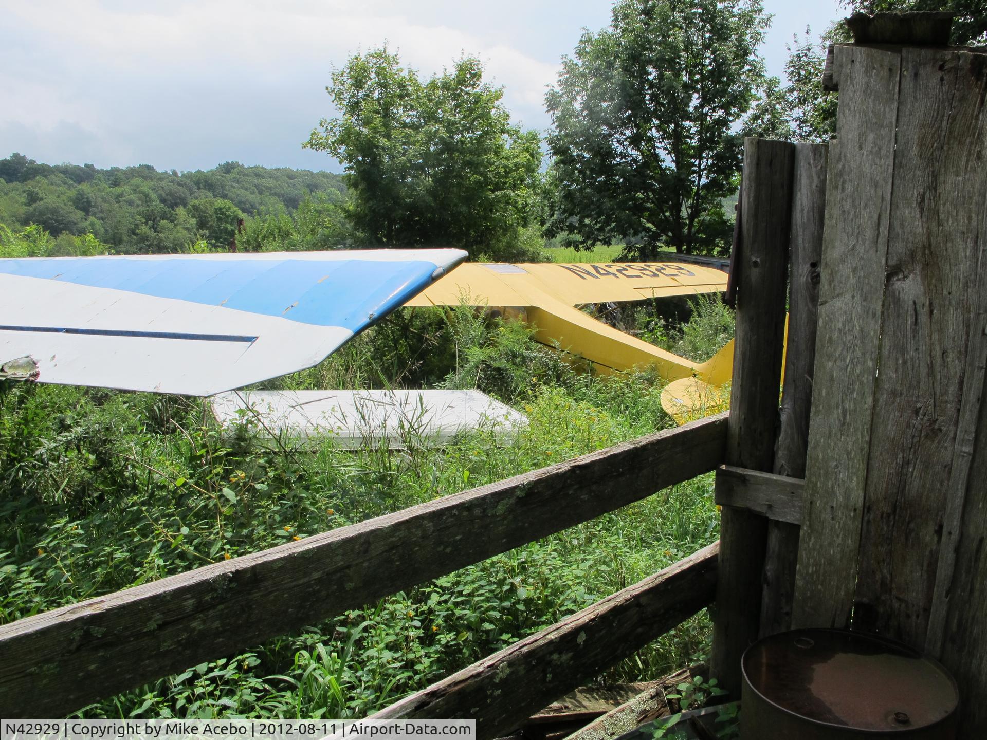 N42929, 1945 Piper J3C-65 Cub C/N 15288, Left in an overgrown field in CT