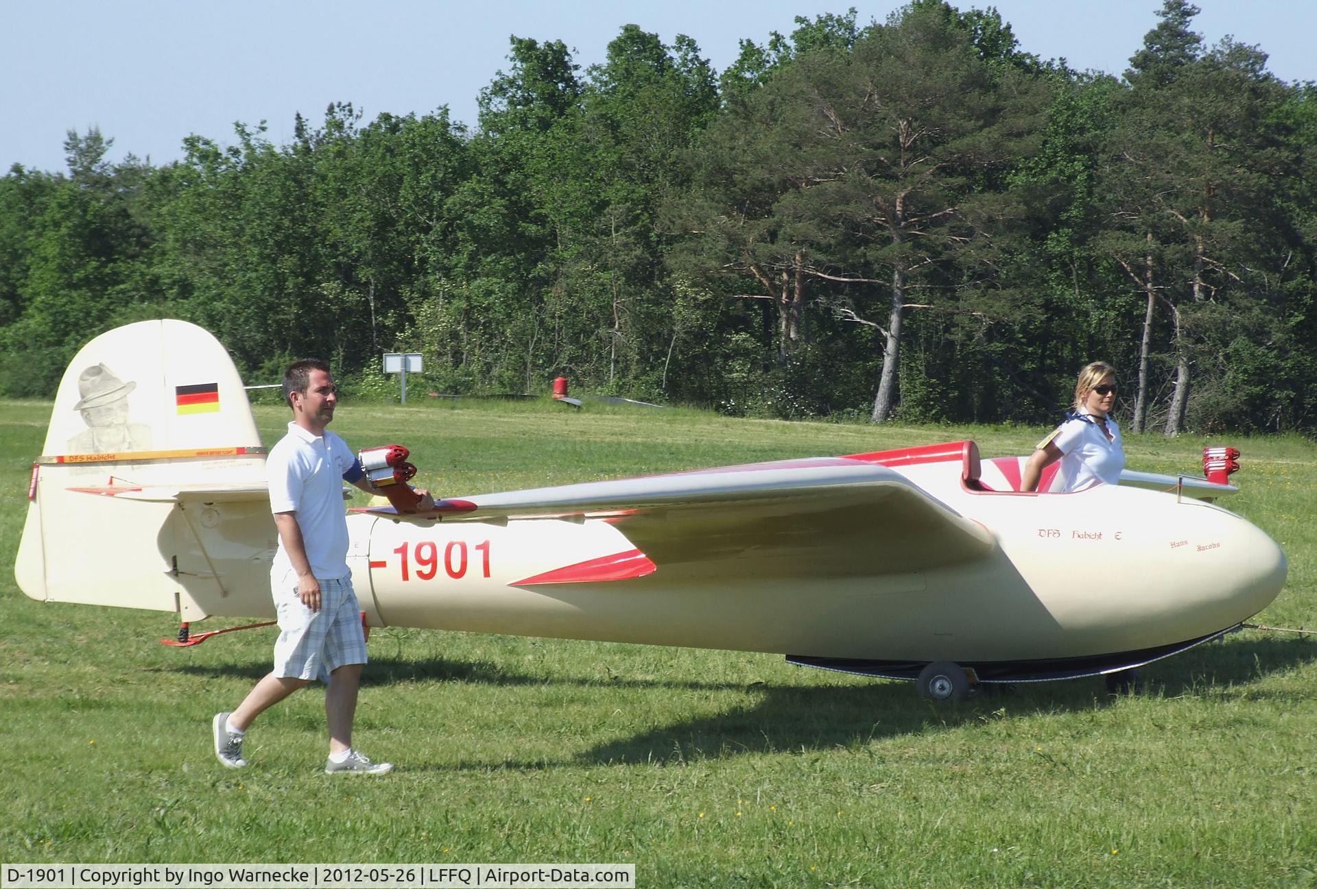 D-1901, 1963 DFS 108-53 Habicht E Replica C/N 1, Jacobs DFS 108-53 Habicht E Replica at the Meeting Aerien 2012, La-Ferte-Alais