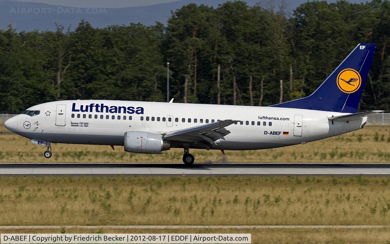 D-ABEF, 1991 Boeing 737-330 C/N 25217, touchdown
