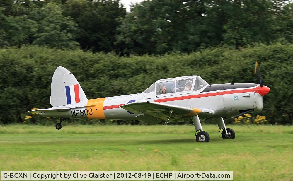 G-BCXN, 1952 De Havilland DHC-1 Chipmunk T.10 C/N C1/0692, Ex: WP800 > G-BCXN - Has been in private hands since March 1975. - In the colours of the, Royal Air Force as WP800
